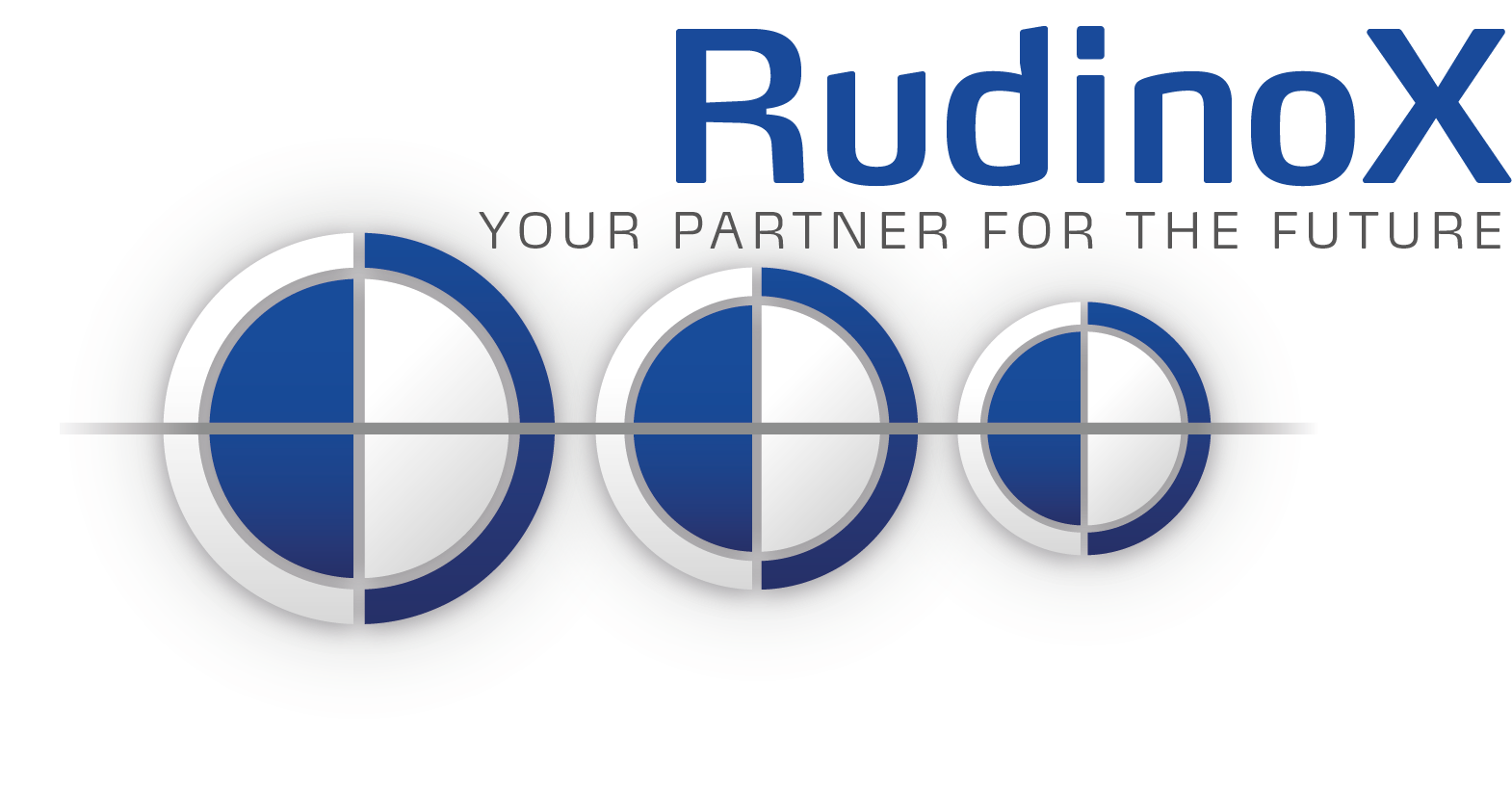logo rudinox